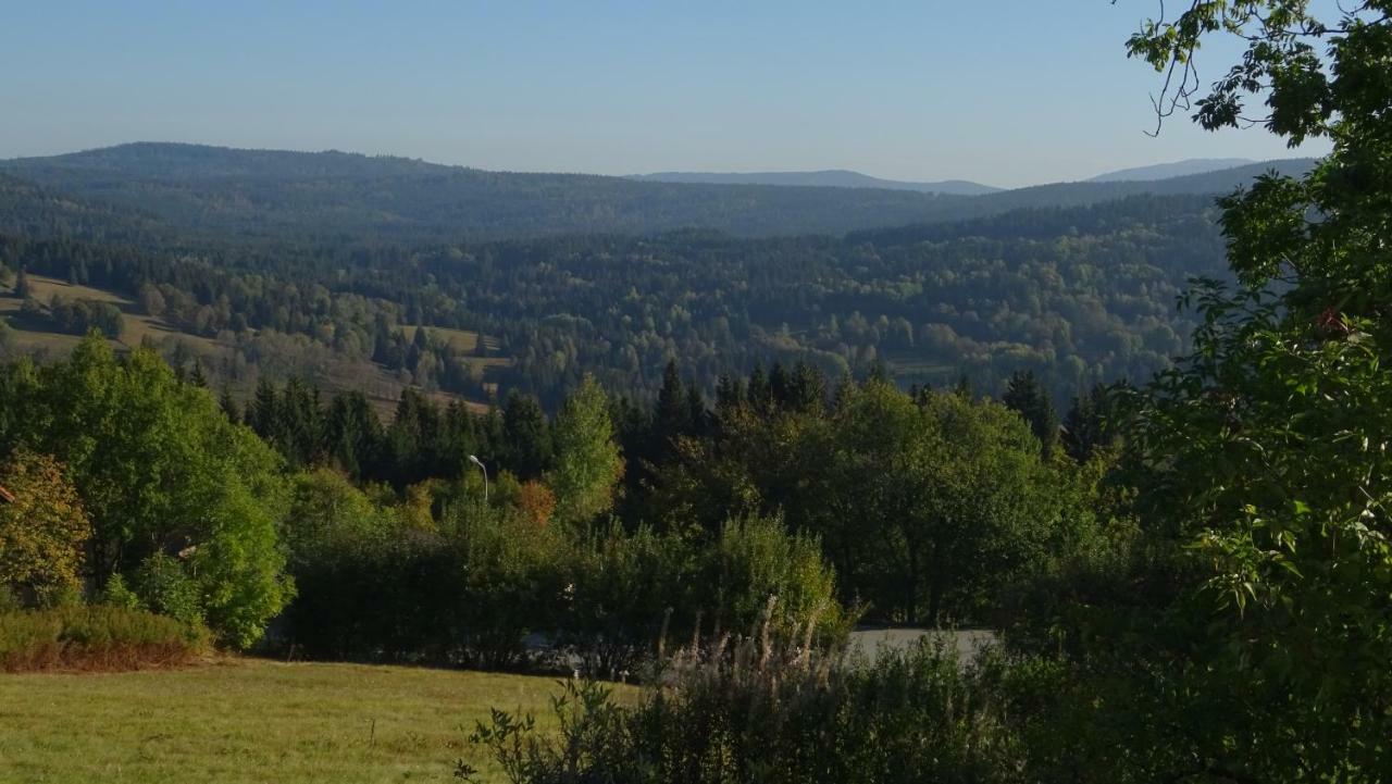 Apartment Almberg Mitterfirmiansreut Bagian luar foto