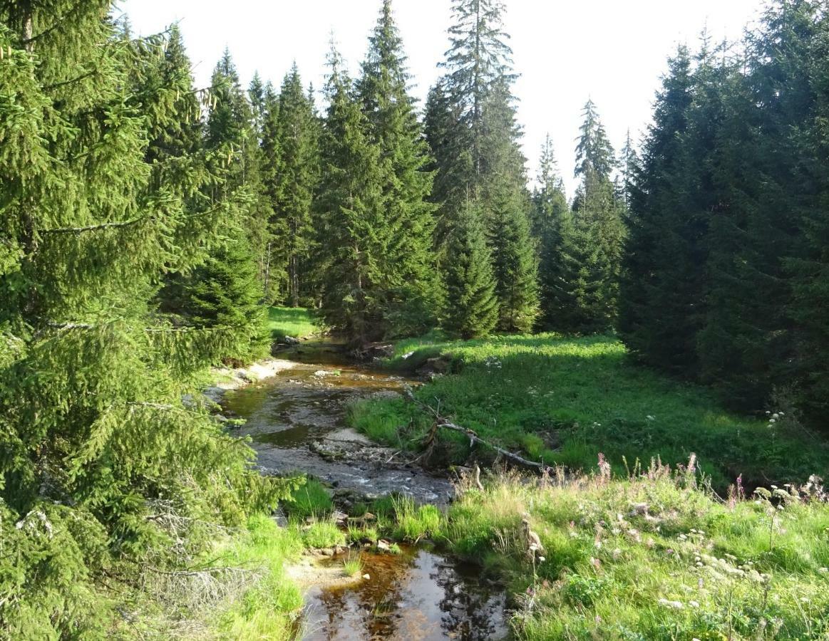 Apartment Almberg Mitterfirmiansreut Bagian luar foto