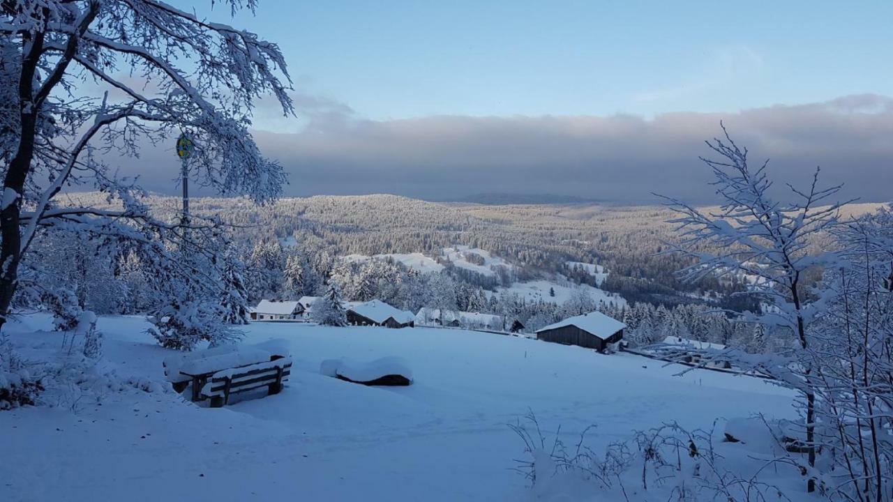 Apartment Almberg Mitterfirmiansreut Bagian luar foto