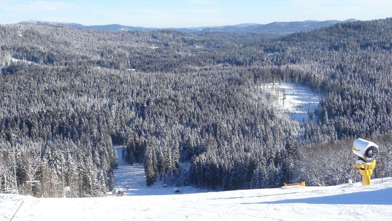 Apartment Almberg Mitterfirmiansreut Bagian luar foto