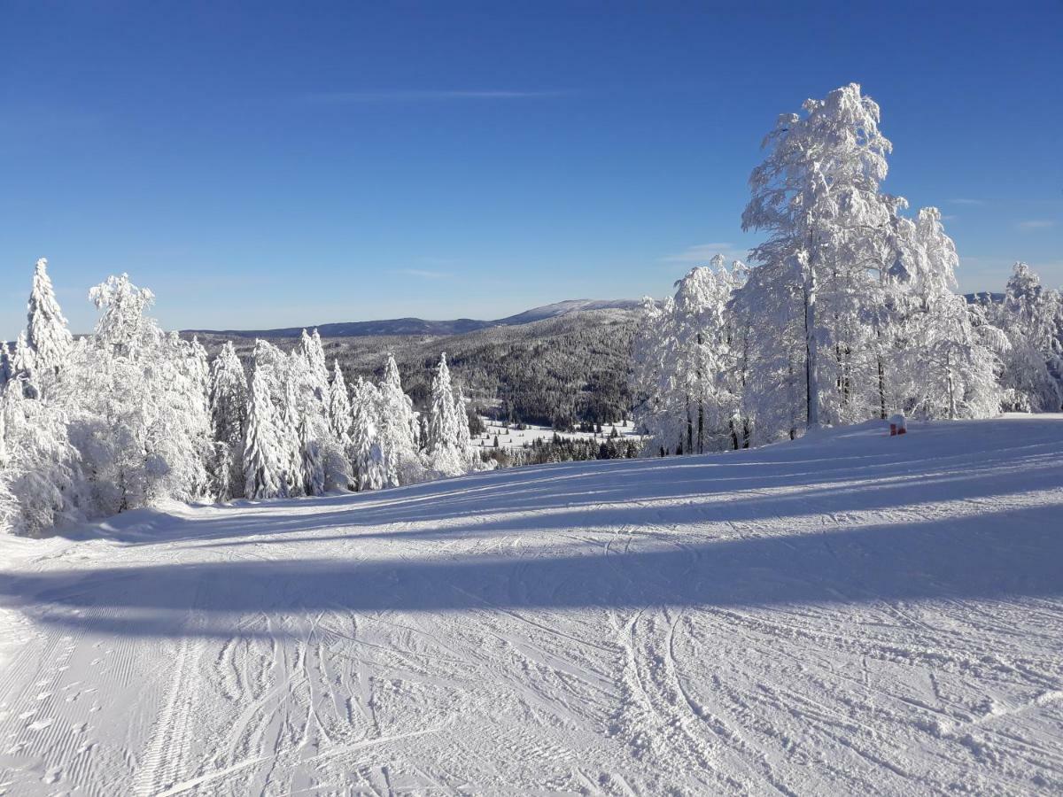 Apartment Almberg Mitterfirmiansreut Bagian luar foto