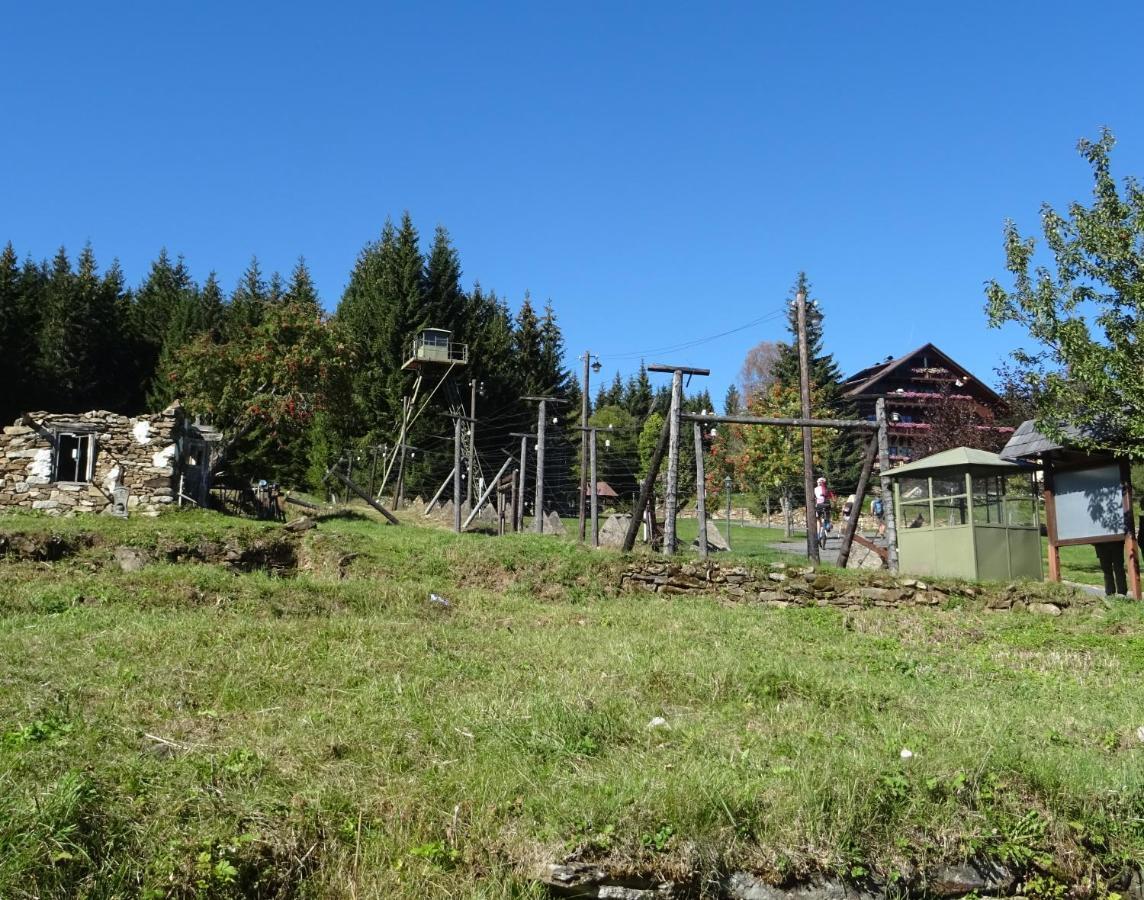 Apartment Almberg Mitterfirmiansreut Bagian luar foto