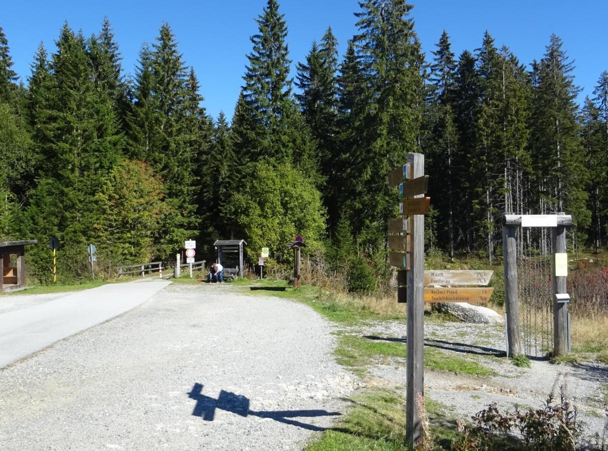 Apartment Almberg Mitterfirmiansreut Bagian luar foto